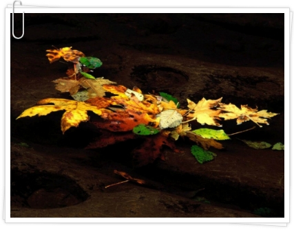 012C473B5093FEA516FAD8