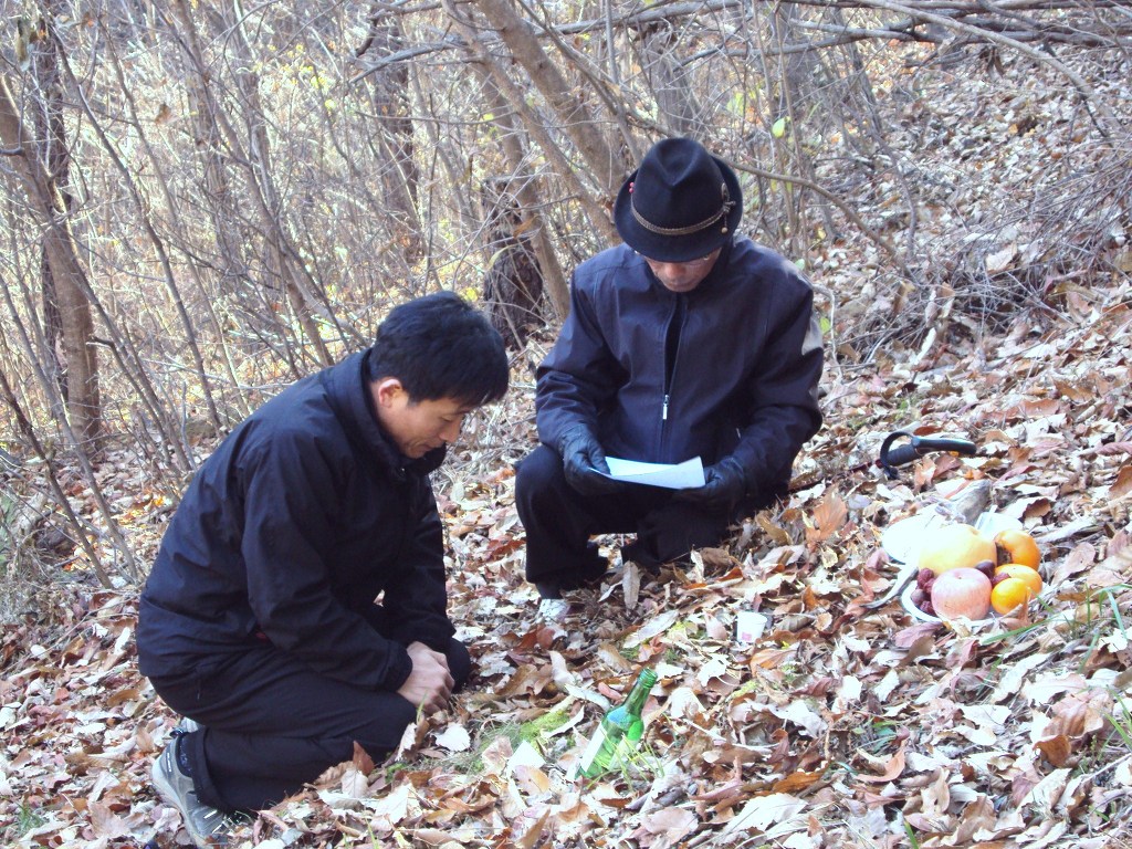경선수선 이미지