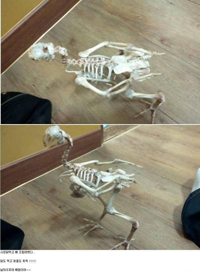 본 치킨 이미지