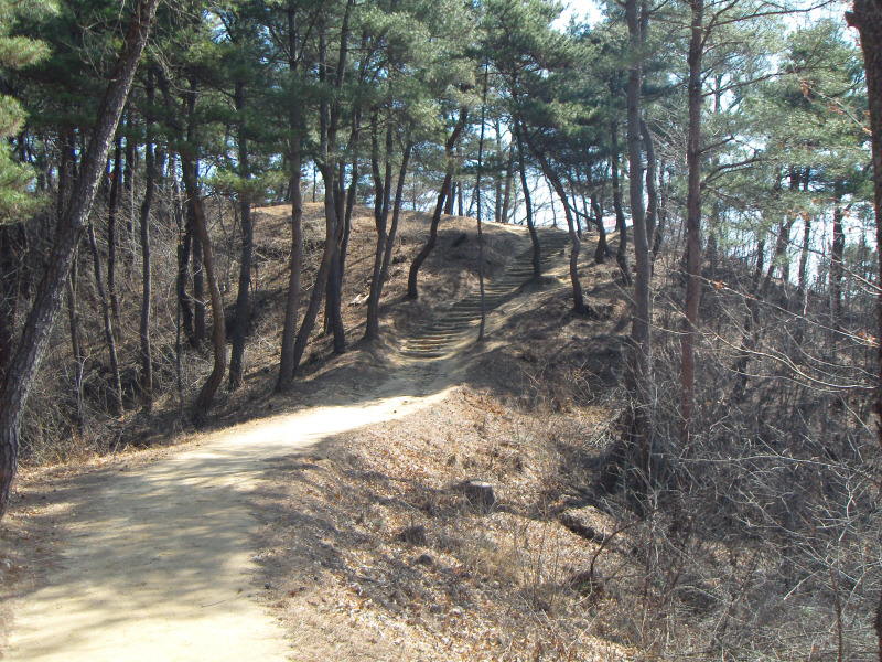 돈달산 이미지