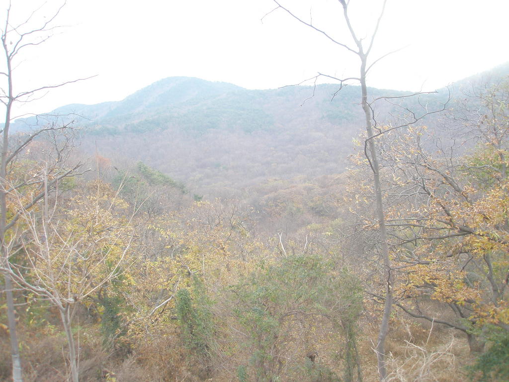 보람농장 이미지