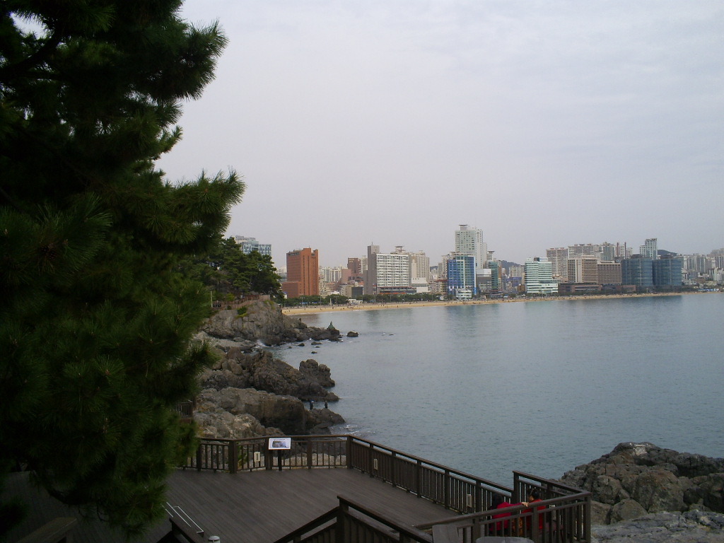 도시문화네트워크 이미지