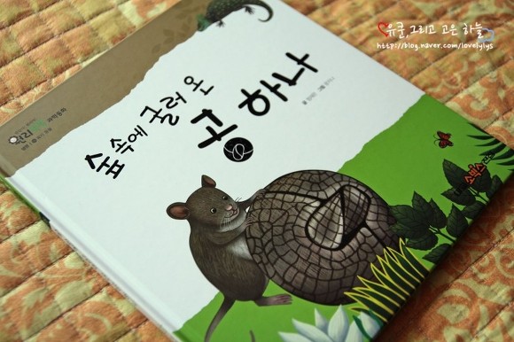 과학숲 이미지