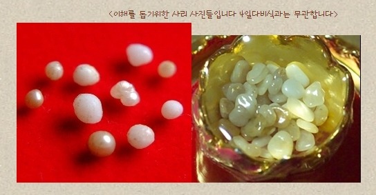 사리 이미지