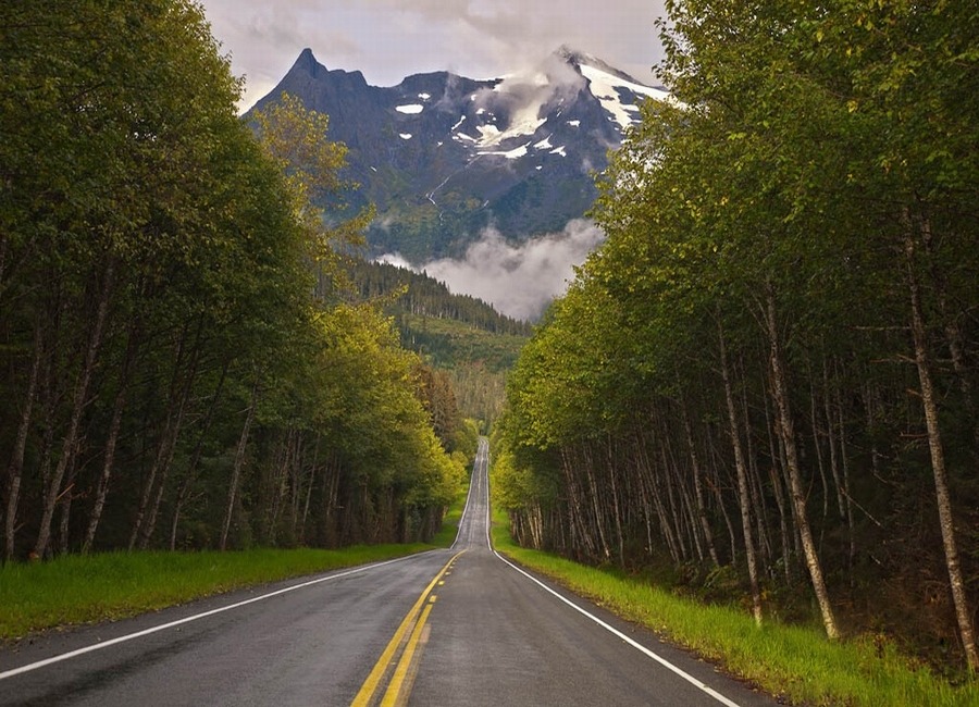 1155A63A4EFC3AE40813FD