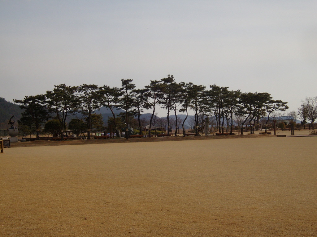 순천만 숲5 이미지