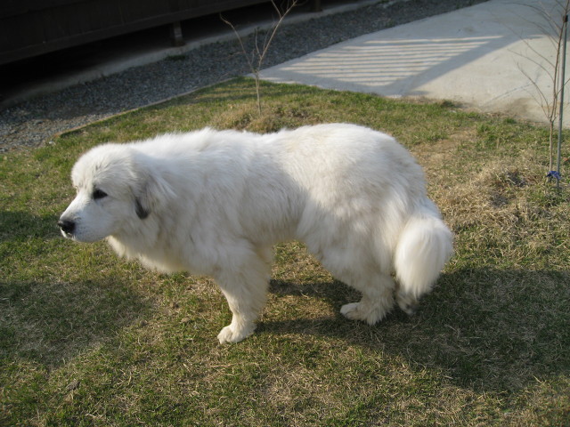 몽실이 이미지