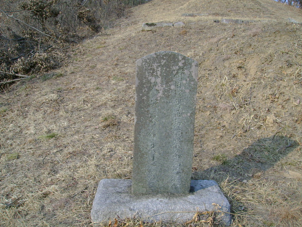 자하 이미지