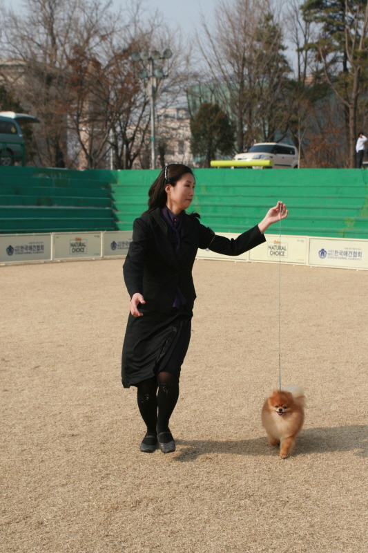 팡팡 이미지