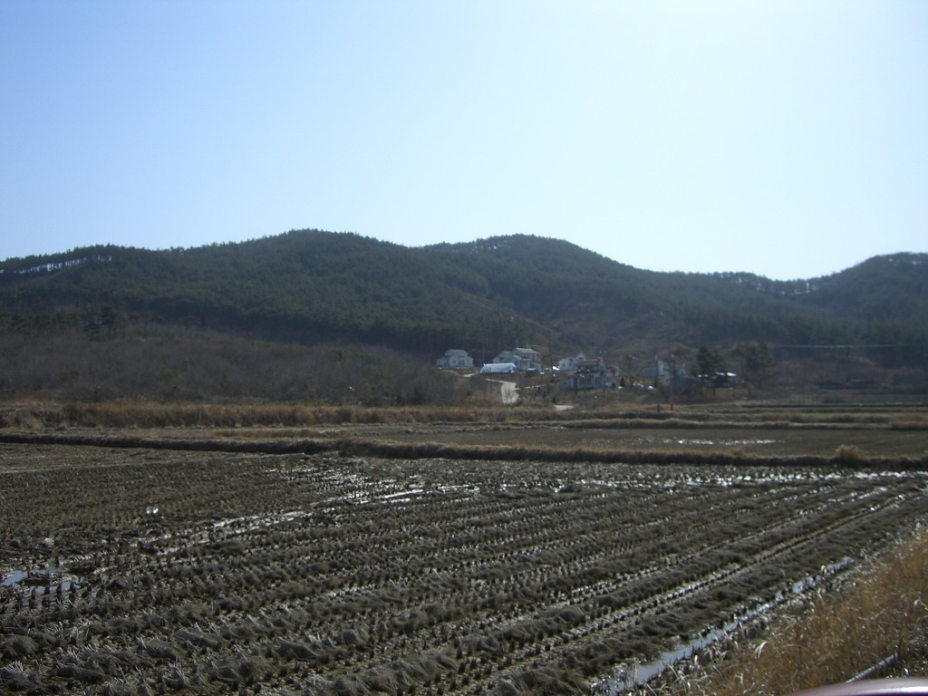 서산IC(서울) 이미지