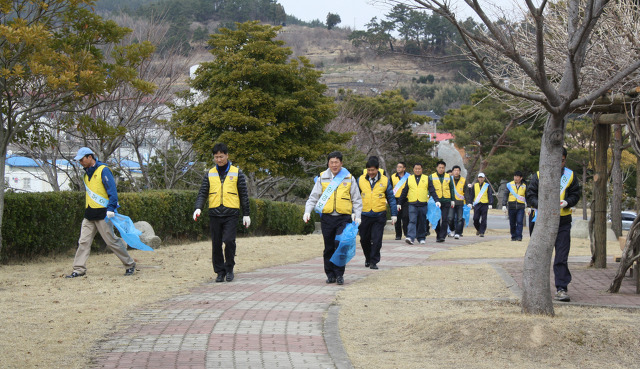 진도담배 이미지
