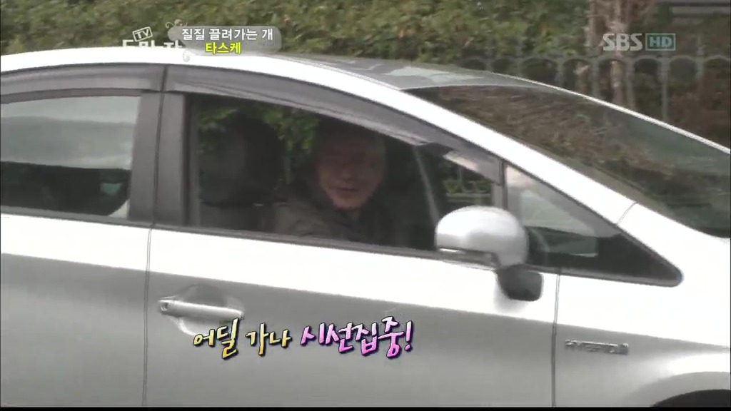 [동물농장] 목줄로 질질 끌려다니는 개.JPG | 인스티즈
