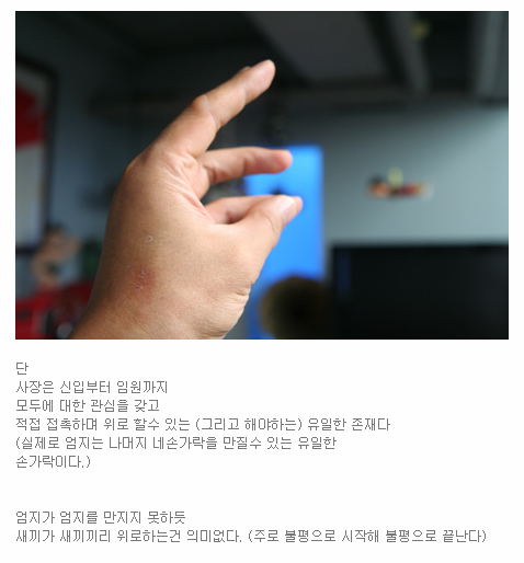 13402C124B29DA87381062