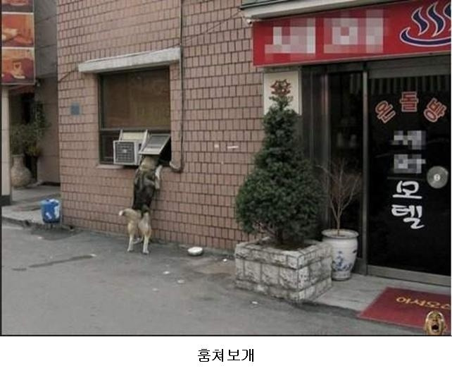 다이쏘 이미지