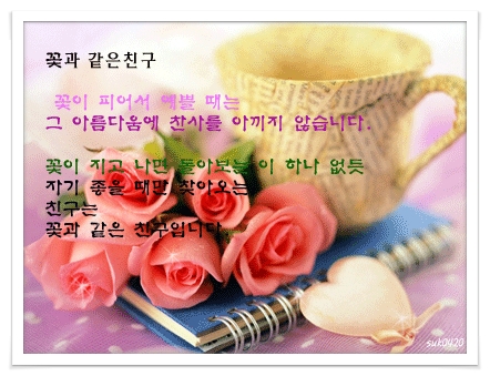 오월의아침 이미지