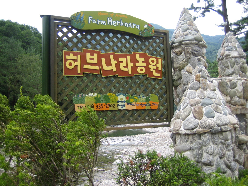 봉평메밀나라 이미지