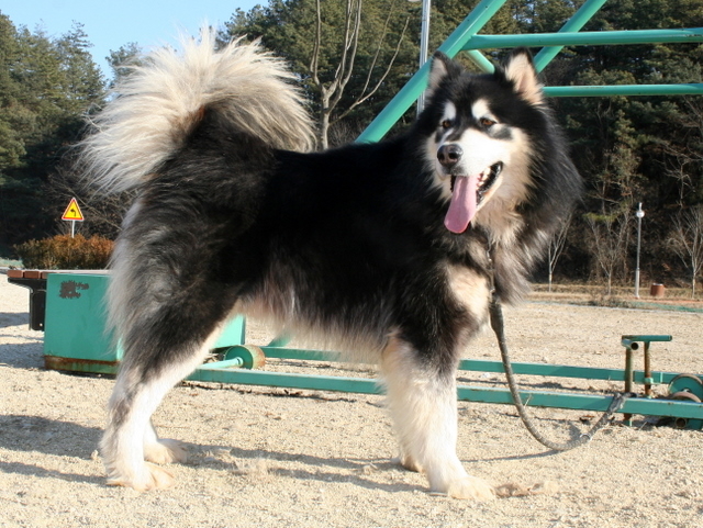 태경 이미지