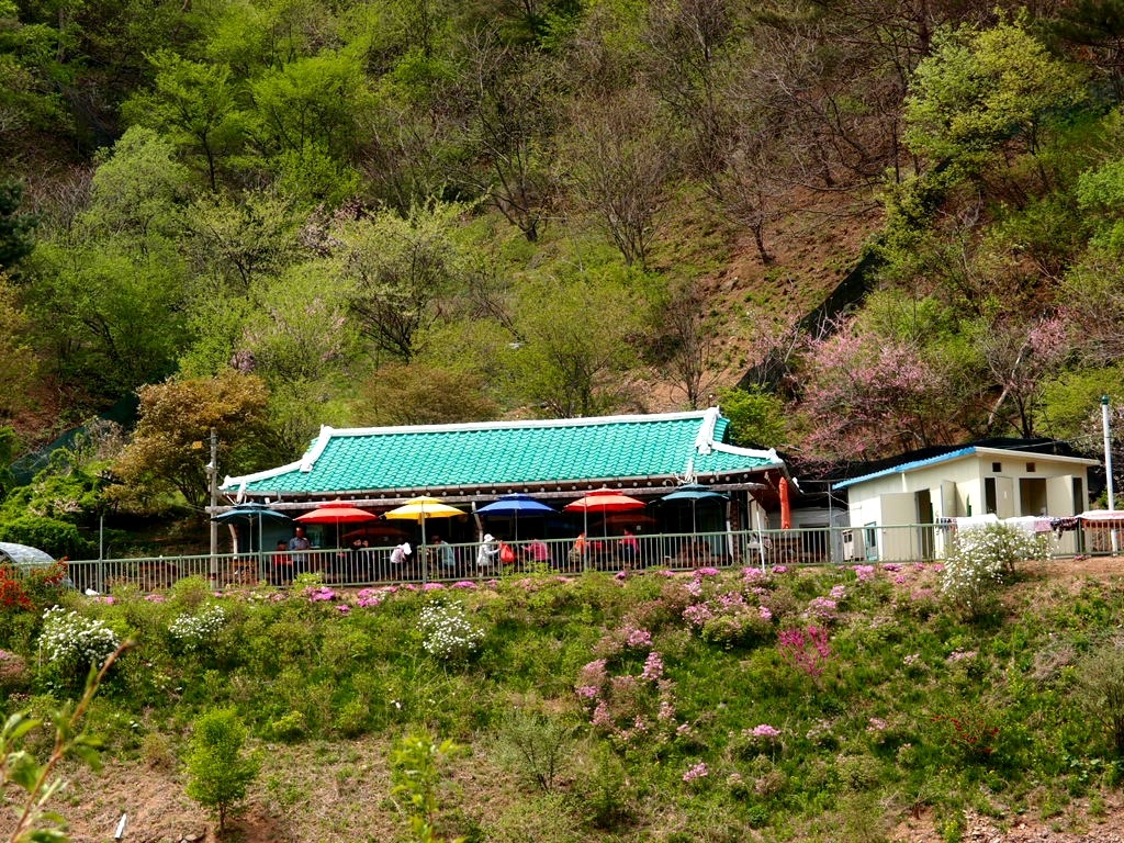 오지닭 이미지