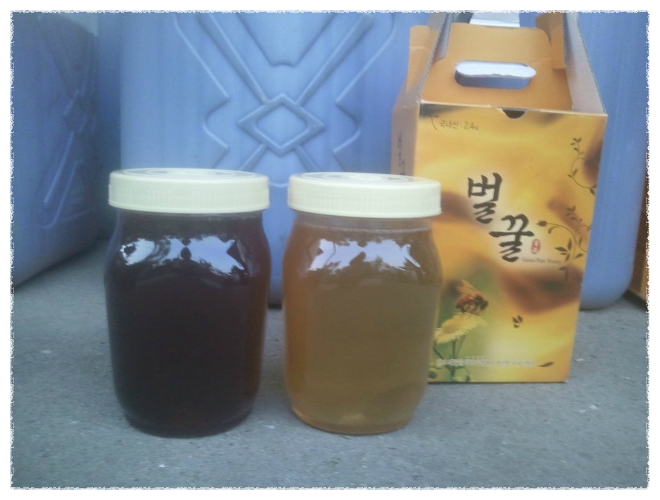 지경벌꿀 이미지