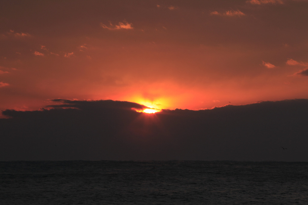 1409AB334D1FCF30135877