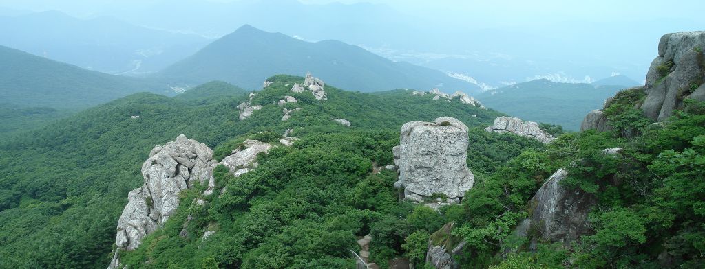 새동네다방 이미지