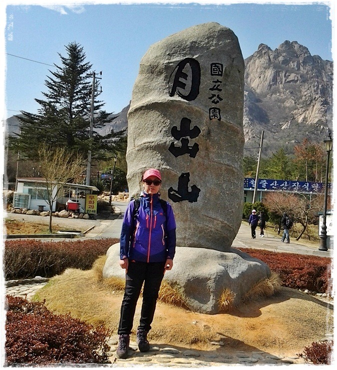 월악산특산물 이미지