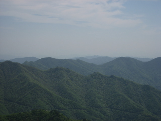 모양환경 이미지