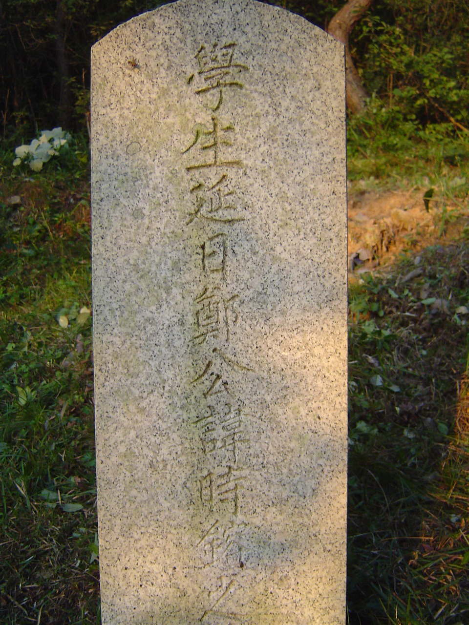 시용(時鎔) 이미지