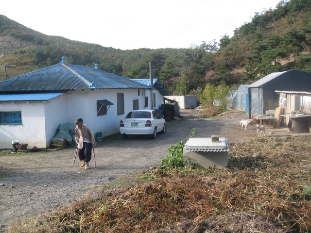 충남댁 이미지