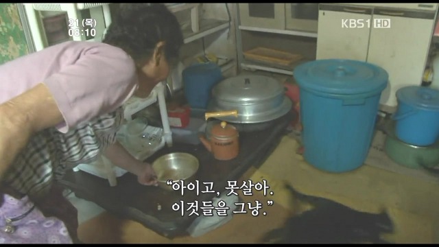 고양이 구박하는 훈할머니.JPG | 인스티즈