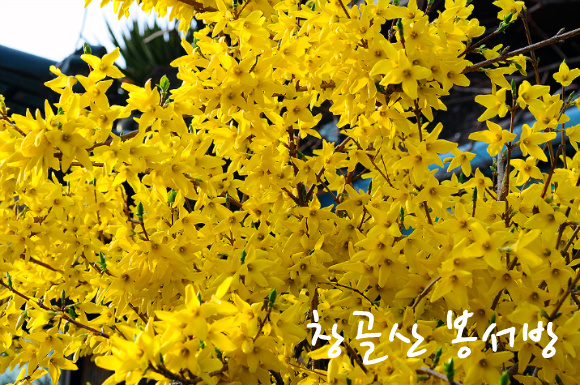 은혜 이미지