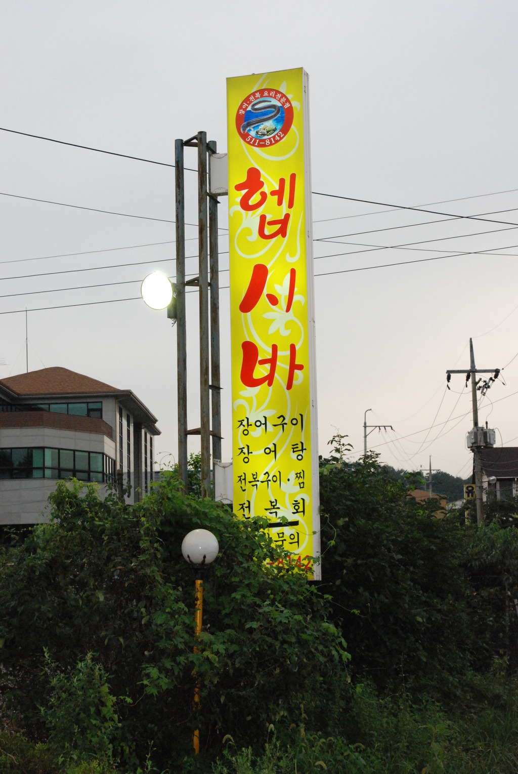 헵시바주 이미지