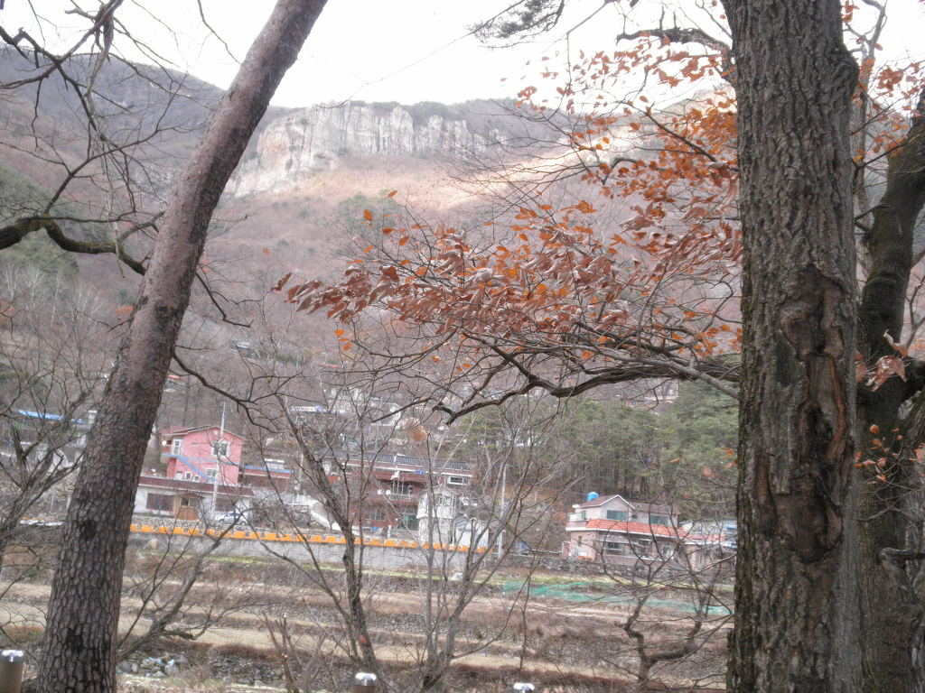 표충사가는길에서 이미지