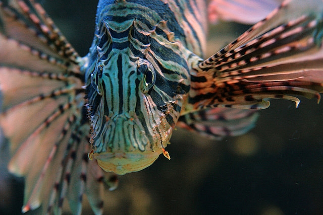 1476FB594D4E967F022506