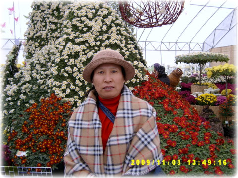 국화호수 이미지