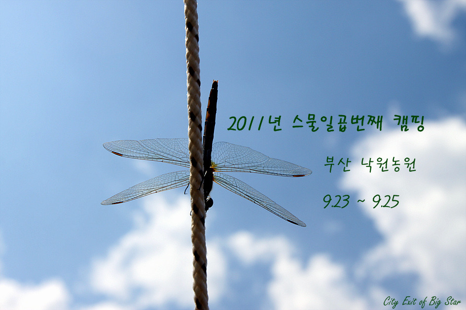 부산농원 이미지