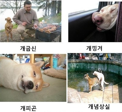 공감 이미지