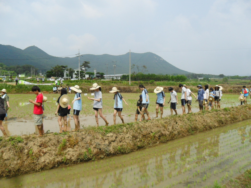 봉서중학교 이미지