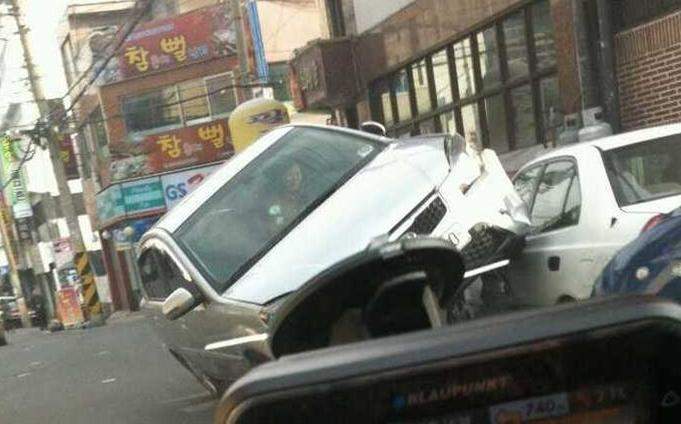 신세기 이미지