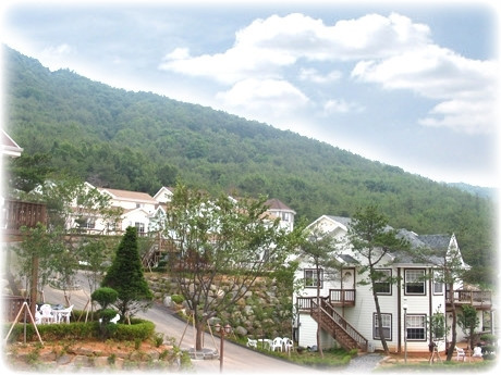 소나무향기펜션 이미지