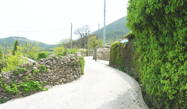 정이만물 이미지