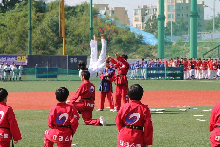 국가대표태권스쿨 이미지