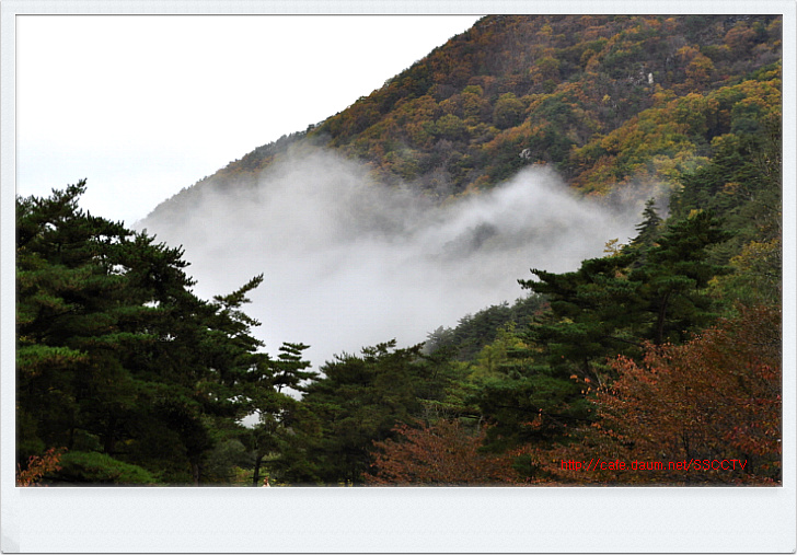 오도산자연휴양림 이미지