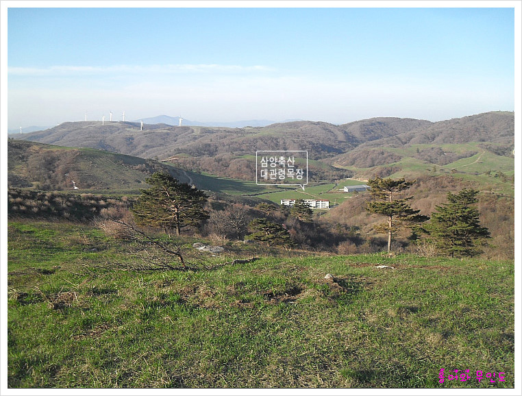 대관령축산 이미지