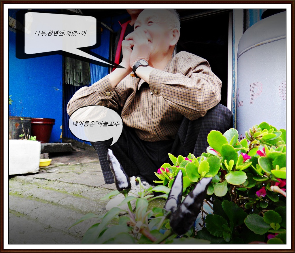 꼬추 이미지