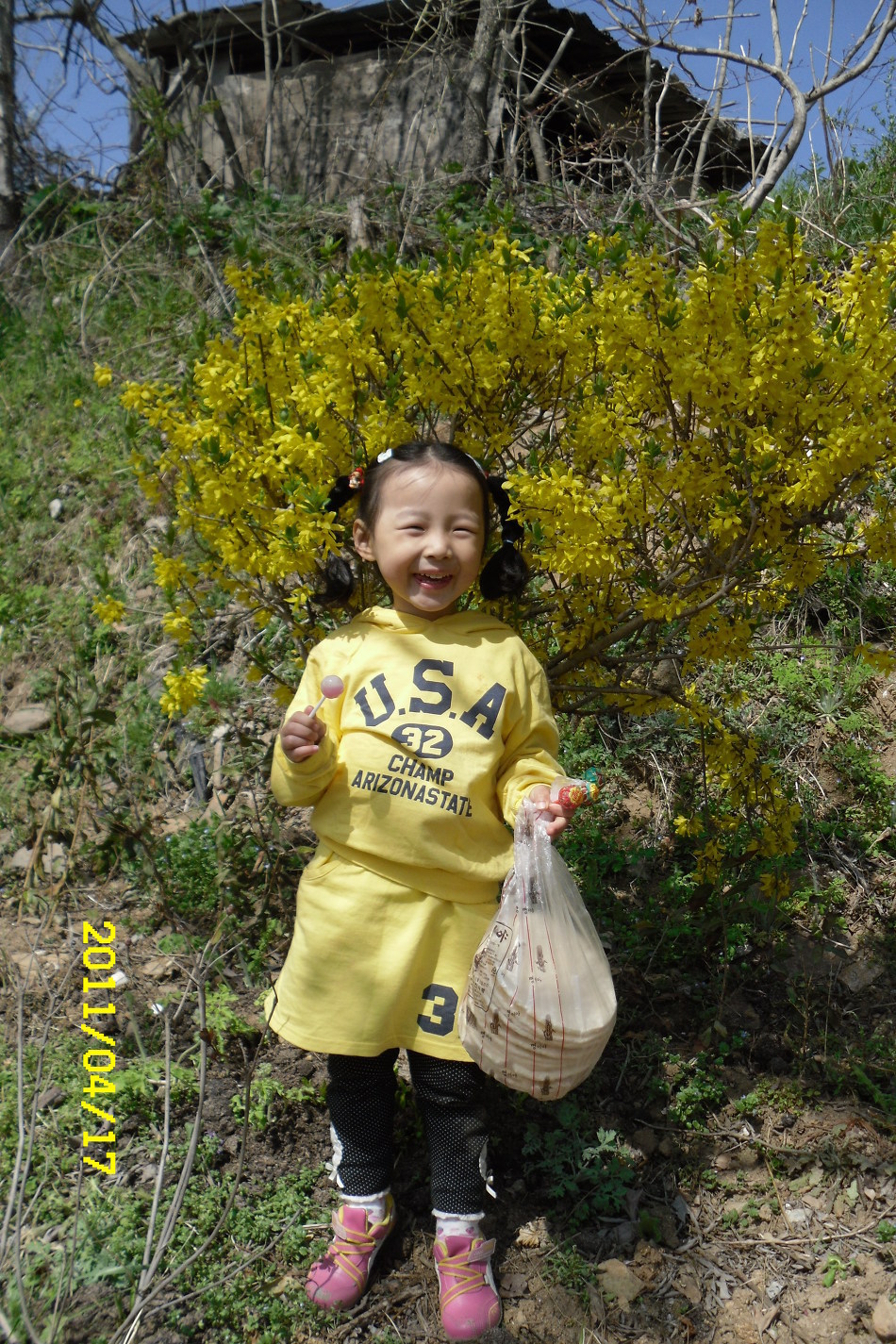나경 이미지