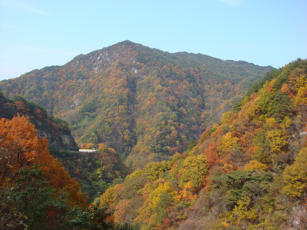 지리산내음 이미지