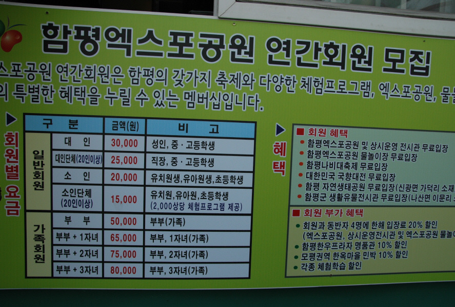 송죽잎 이미지