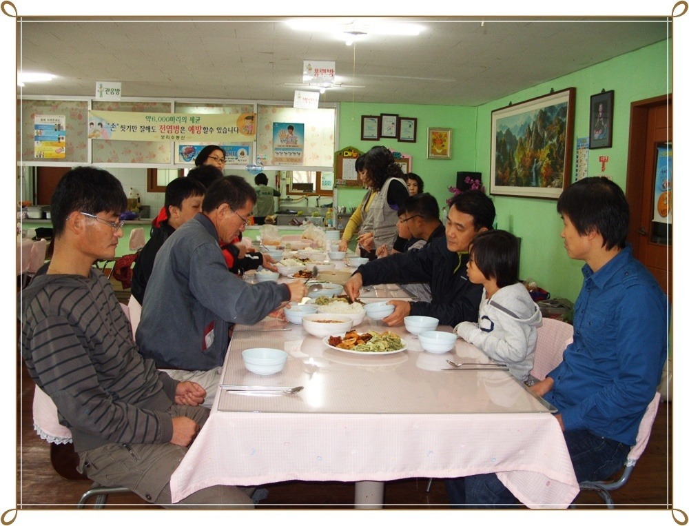 고성보리수 이미지