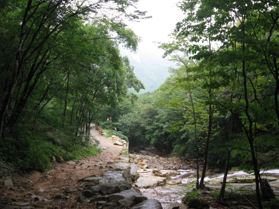 운문산자연휴양림 이미지